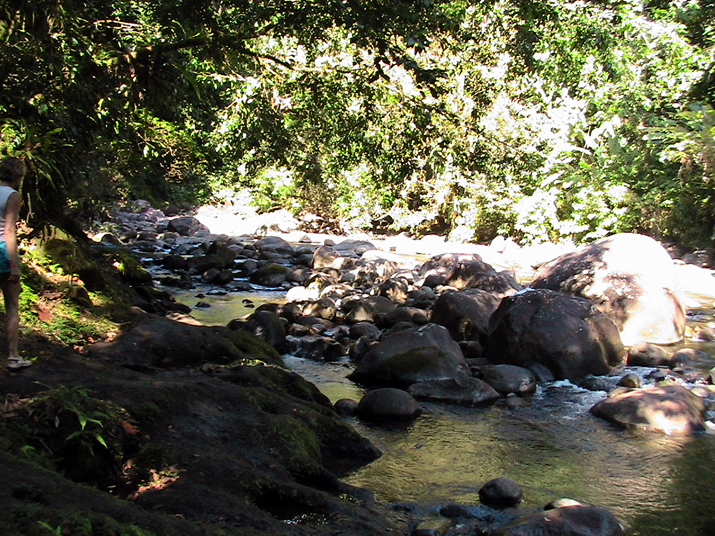 18a - Cascade aux Ecrevisses 005.jpg